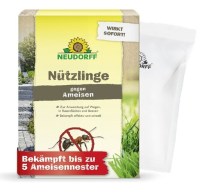 6123_Nuetzlinge_gegen_Ameisen