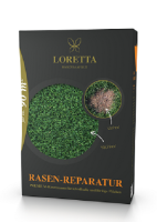 Loretta_Reparatur