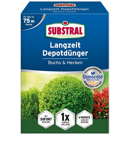schwertfarn düngen Green Lady Farn main image 0